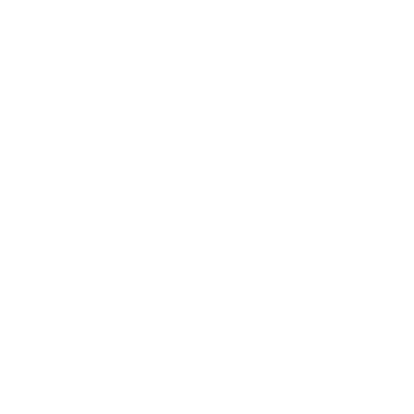 Iceberg Inc